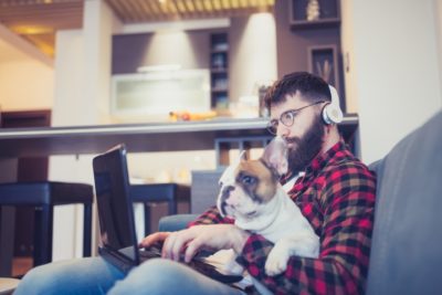 Handsome, hipster man sitting on the living room sofa with his dog, using a laptop